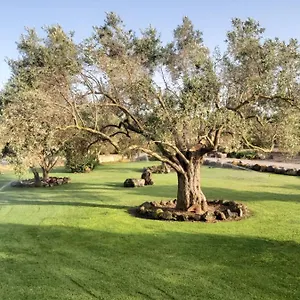 Alloggio per agriturismo Su Sattisceddu, Uras