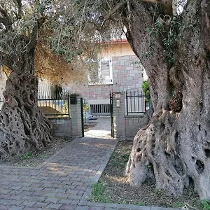 La Casa Degli Ulivi Appartement